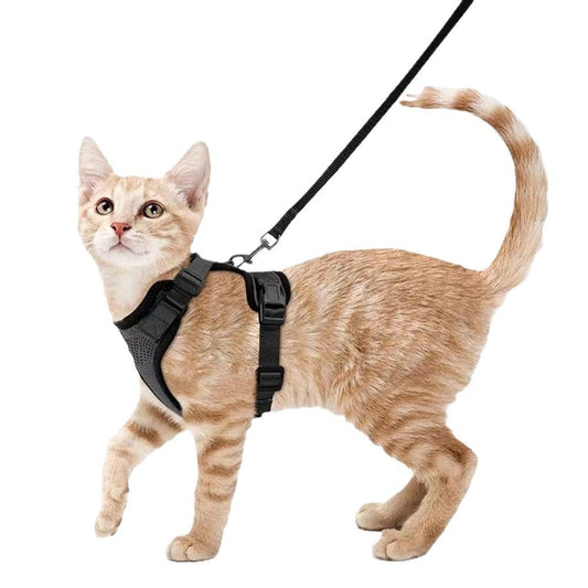 Adjustable Anti-Escape Cat Leash – Safe and Comfortable Harness for Cats and Small Pets