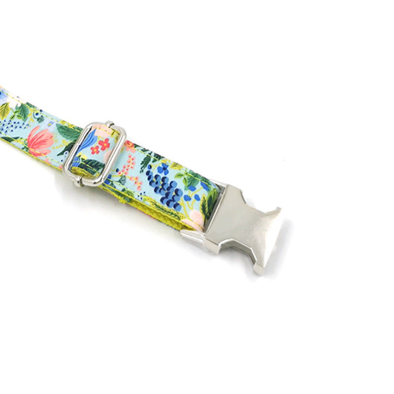 New Dog Leash and Collar Set for Medium to Large Dogs – Durable Chain Leash with Comfortable Pet Collar