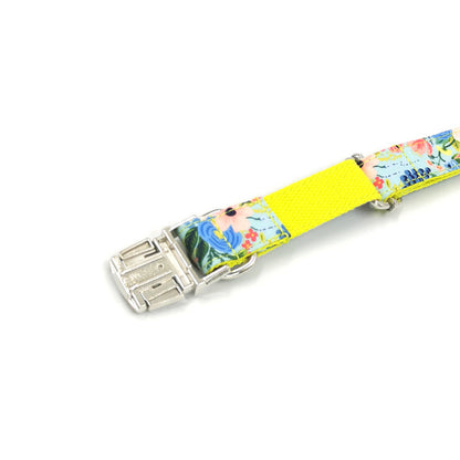 New Dog Leash and Collar Set for Medium to Large Dogs – Durable Chain Leash with Comfortable Pet Collar