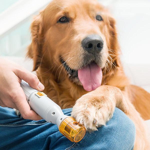 Electric Pet Nail Grinder – Professional Dog & Cat Nail Trimmer & Clippers