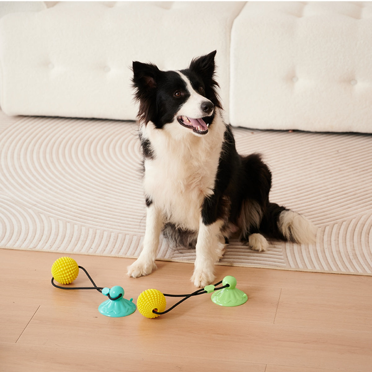 Corn Ball Dog Chew Toy with Suction Cup – Tug-of-War, Teething & Teeth Cleaning Toy for Medium & Large Dogs