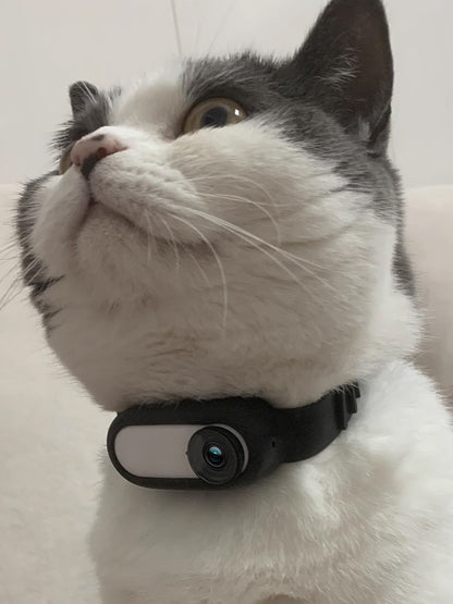 Pet Camera Collar – Wireless Indoor & Outdoor Recording for Cats & Dogs