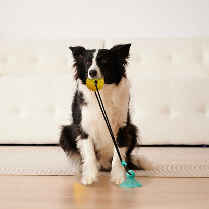 Corn Ball Dog Chew Toy with Suction Cup – Tug-of-War, Teething & Teeth Cleaning Toy for Medium & Large Dogs