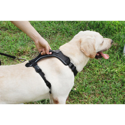 Adjustable Dog Harness – Easy On & Off, High-Quality Comfortable Pet Vest