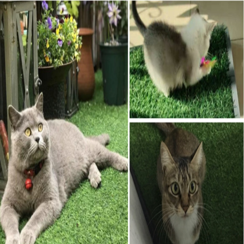 Indoor Simulated Lawn Pet Pad – Soft, Warm & Non-Slip for Dogs & Cats