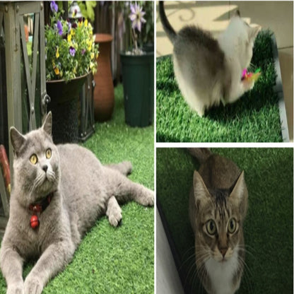 Indoor Simulated Lawn Pet Pad – Soft, Warm & Non-Slip for Dogs & Cats