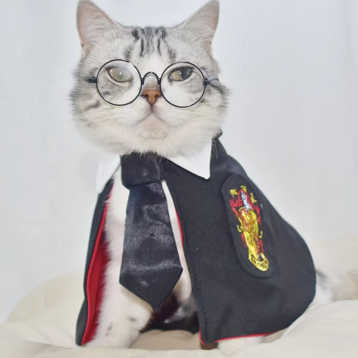 Harry Potter Pet Costume – Magic Glasses & Cloak for Dogs & Cats