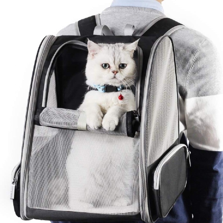 Innovative Bubble Backpack Pet Carrier Comfortable Travel for Cats and Dogs
