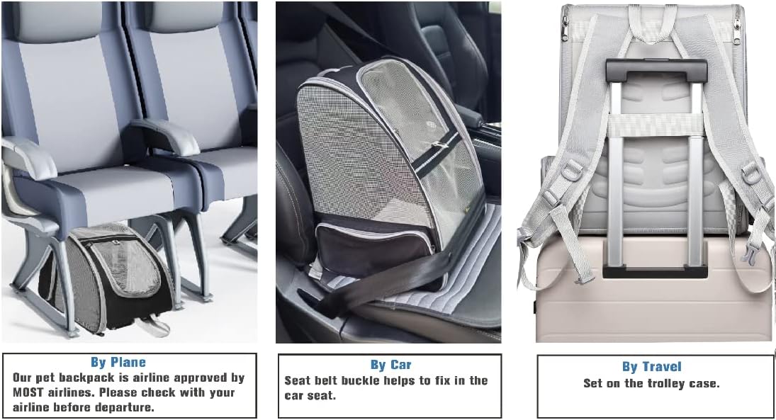 Innovative Bubble Backpack Pet Carrier Comfortable Travel for Cats and Dogs