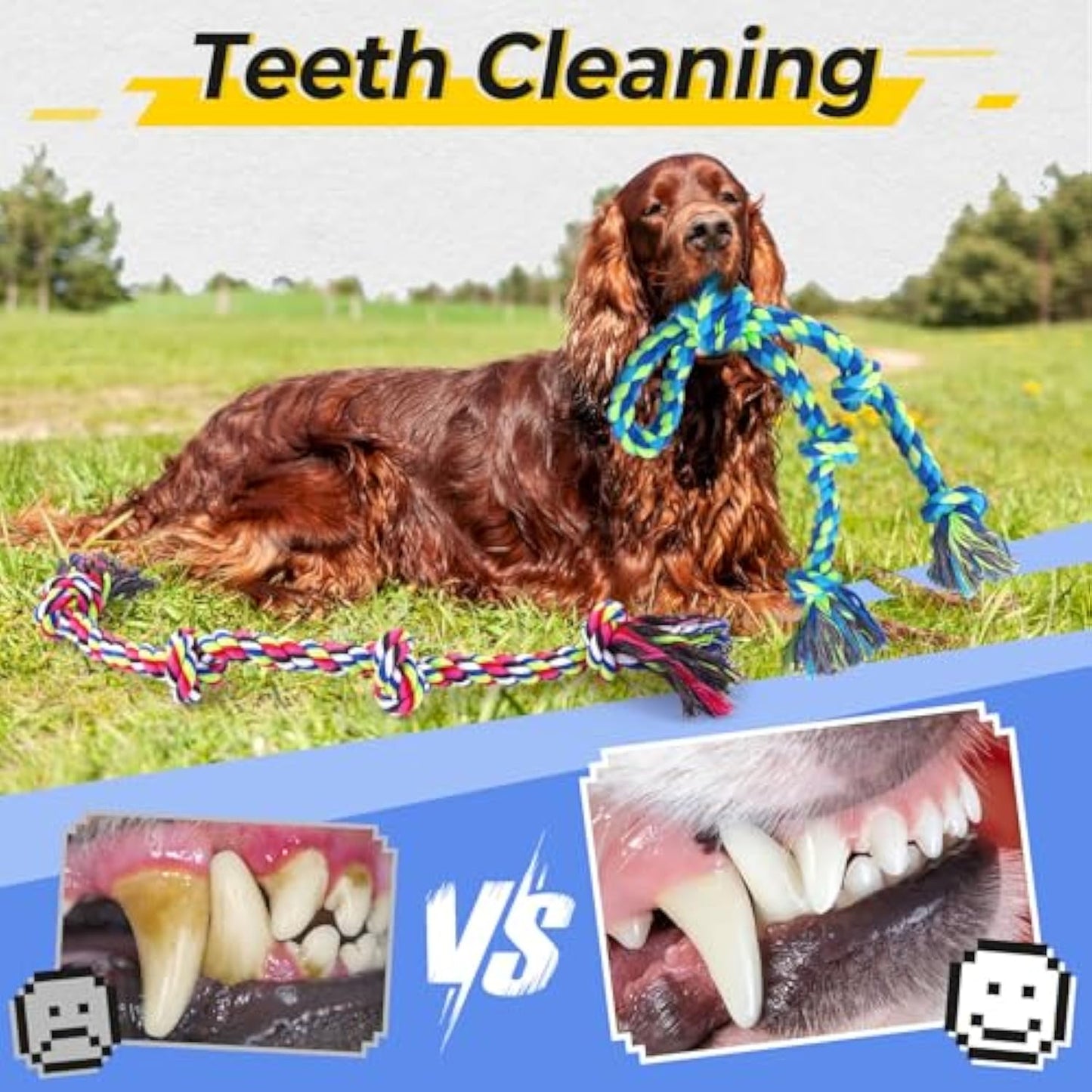 Heavy-Duty Dog Rope Toy – Tough Tug Toy for Aggressive Chewers