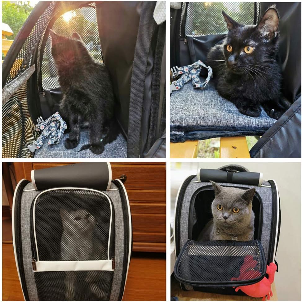 Innovative Bubble Backpack Pet Carrier Comfortable Travel for Cats and Dogs