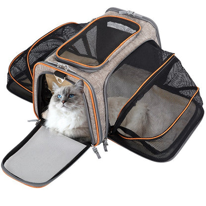 Airline Approved Expandable Cat Carrier – Foldable Soft-Sided Pet Travel Bag with Reflective Safety Strips